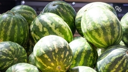 Следить за кисловодским фестивалем «КислоVольт-220» можно будет онлайн