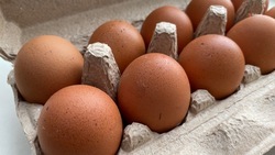 На ставропольских ярмарках будут продавать яйца по цене от 90 рублей за десяток 