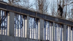 Поликлинику, амбулаторию и стационар возводят в Шпаковском округе по нацпроекту 