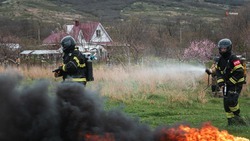 Минерализованные полосы обновили в Шпаковском округе