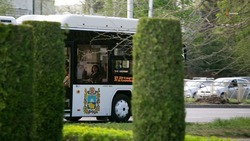 Четыре новых маршрута запустят летом в Ставрополе