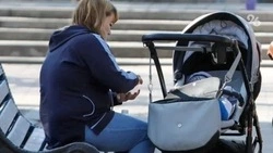 На Ставрополье универсальным пособием обеспечат более 181 тыс. человек
