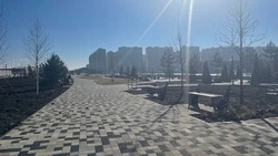 На новом бульваре в Ставрополе начали озеленение