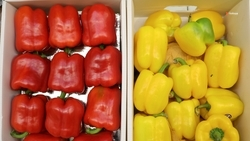 Ярмарку выходного дня провели в Михайловске 18 октября