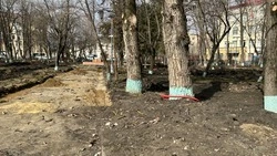 Сквер в Ставрополе благоустроят к середине лета