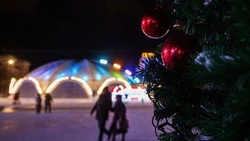 Обращение президента покажут в краевой столице в новогоднюю ночь