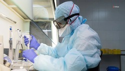 Почти 1,5 тыс. ставропольцев выздоровели от коронавируса за неделю