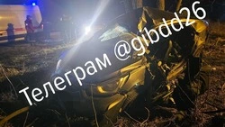Неопытный водитель погиб от столкновения машины с деревом возле Михайловска