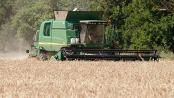 Аграрии Ставрополья собрали около 600 тыс. тонн зерна