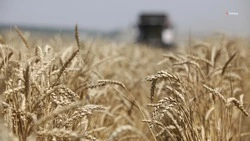 Ставропольские аграрии выполнили план летней уборочной кампании на 18%