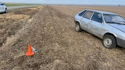 Автолюлька спасла жизнь младенцу в ДТП на Ставрополье 
