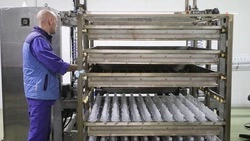Малых и средних предприятий на Ставрополье стало больше на 14% 
