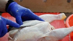 Завод по переработке мяса птицы откроют на Ставрополье 
