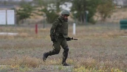 О ставропольских волонтёрах узнала вся страна