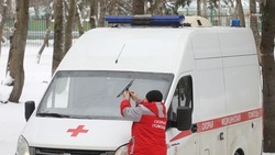 Больница Шпаковского округа получила 11 санитарных автомобилей 