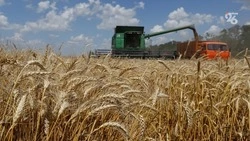 Аграрии Ставрополья готовятся к весенним посевным работам