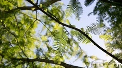 Десять охранных зон создали на Ставрополье по постановлению губернатора