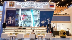 Международная деловая конференция и выставка InRussia стартовала на Ставрополье