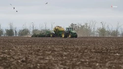 Азотная подкормка озимого клина прошла на 53,3 тыс. га ставропольских полей