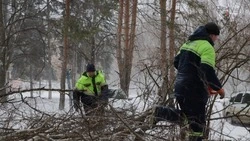 Ограждения более 20 строительных площадок восстановили в Ставрополе после урагана