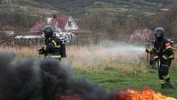 Минерализованные полосы обновили в Шпаковском округе