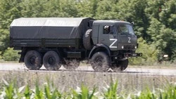 Жители Шпаковского округа отправили в зону СВО 3 тонны новогодних подарков