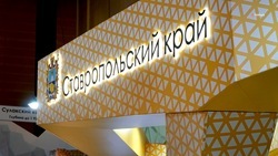 Губернатор Владимиров представил вице-премьеру Новаку модель развития Ставрополья