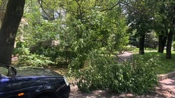 Сильные дожди продлятся на Ставрополье до 26 мая