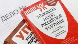 В Михайловске задержан курьер, подозреваемый в краже товаров на 20 тыс. рублей