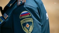 Для профилактики ландшафтных пожаров на Ставрополье выжигают траву