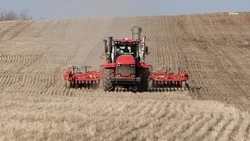 Около 450 тыс. га кукурузы и подсолнечника засеяли на Ставрополье