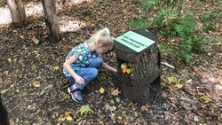 На экотропе заказника «Стрижамент» ставропольцы могут встретить краснокнижных животных