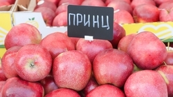 На Ставрополье действует 571 ярмарочная площадка