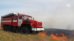 Возгорание сухой травы не навредило домам и соцобъектам в Шпаковском округе
