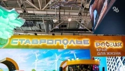 Президент России впервые посетил выставку на ВДНХ