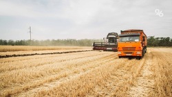 Экспорт зерновых со Ставрополья с 2021 года нарастили в 1,6 раза