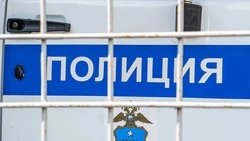Жительница Ставрополя пойдёт под суд по обвинению в краже украшения 