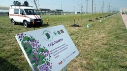 Ставрополье продолжает участвовать во Всероссийской акции «Сад памяти»
