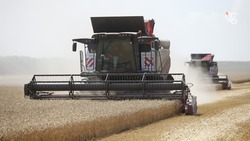Ставрополье получит 267 миллионов рублей на поддержку производителей зерна