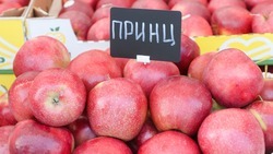 Конкурс лучших товаропроизводителей проходит на Ставрополье