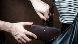 В Ставрополе женщина украла из чужой сумки более 26 тысяч рублей