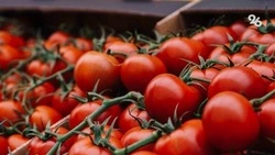 Экспорт продукции АПК со Ставрополья превысил 15% по итогам 2022 года