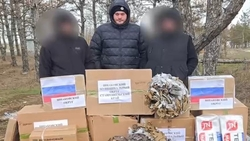 Шпаковский округ Ставрополья передал участникам СВО бензиновые генераторы и шины