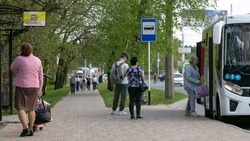 Глава Ставрополья поручил поддержать добросовестных перевозчиков
