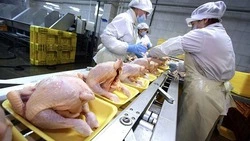 Экспорт мяса птицы в Сербию нарастили на Ставрополье