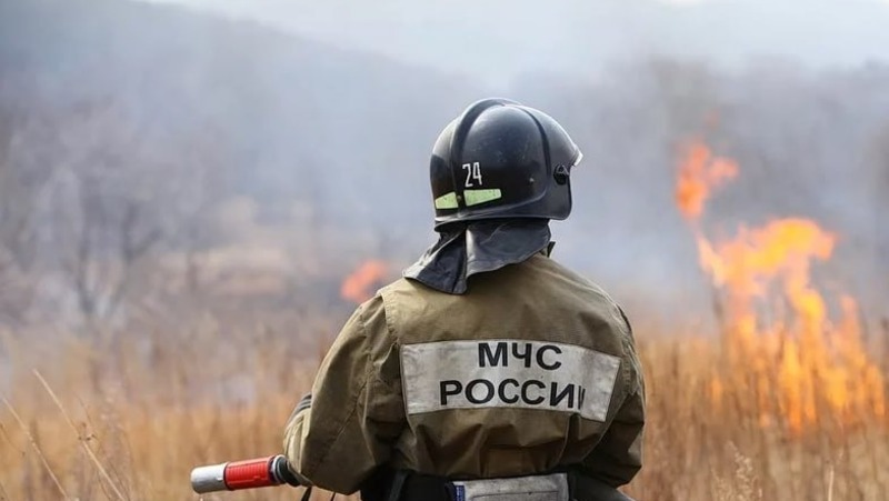 Ландшафтный пожар ликвидировали огнеборцы в Шпаковском округе